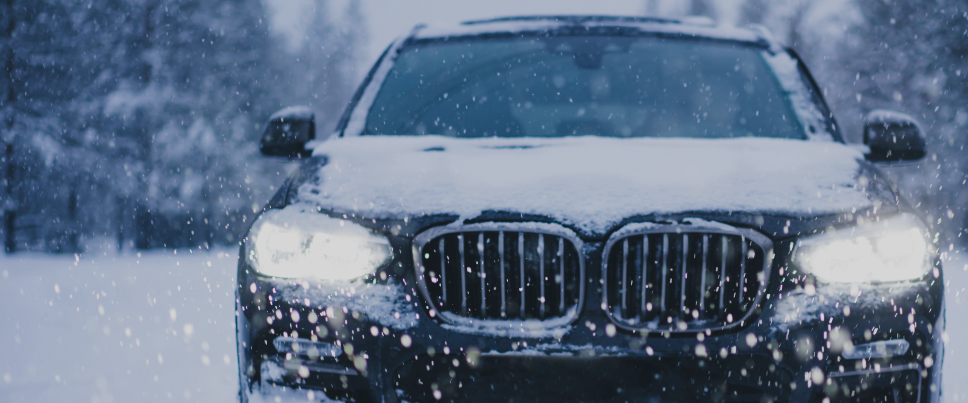 European Auto Repair - North Shore Motor Werks